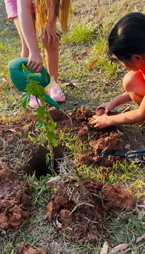 COMEMORAÇÃO DIA DA ÁRVORE 2025